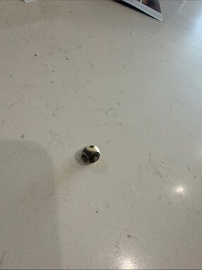 Pandora yin yang charm